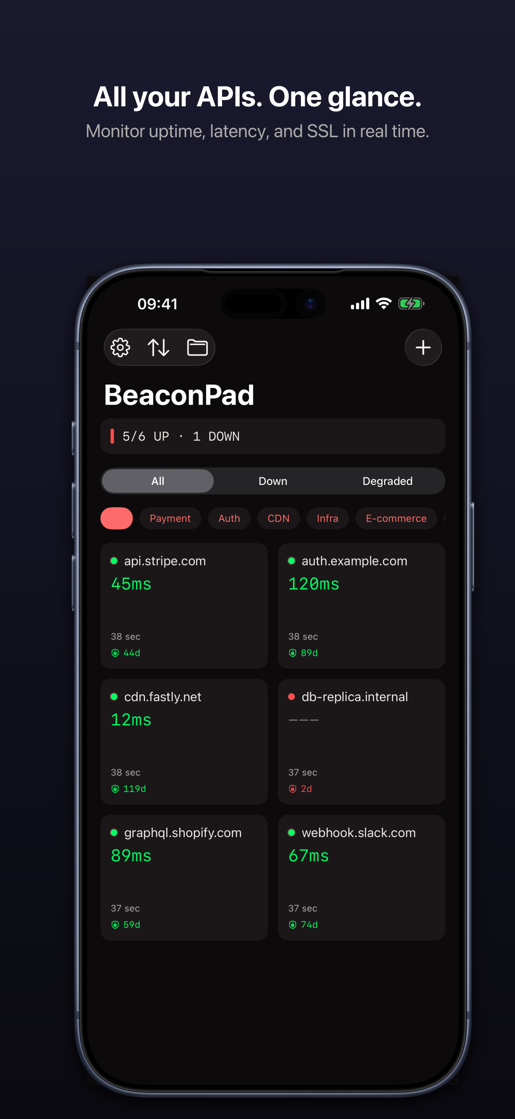 BeaconPad dashboard with API status overview